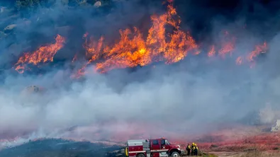 Пожар край Септември: пламъци избухнаха до пречиствателна станция