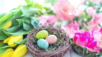 Тези цветя трябва да имате у дома за Великден - носят късмет и хармония