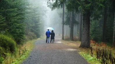 Облаци, дъжд и пролетни бури в събота