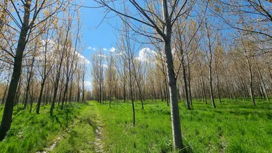 Как оцеляват хората в село без магазин, без аптека, без транспорт