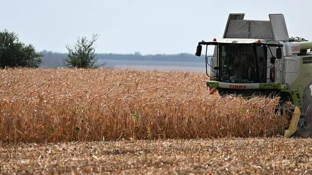 Цените на царевицата и пшеницата танцуват по ритъма на суровия петрол