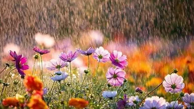 Прогноза за времето в България – неделя, 12 април