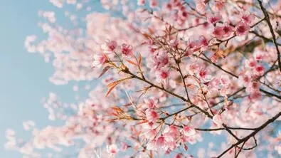 Прогноза за времето в България – понеделник, 13 април