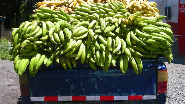 БАБХ спря над 370 тона храни на границата за месец