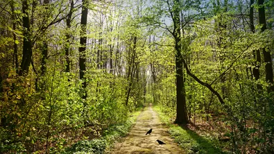 Времето утре: слънчево с мъгли и валежи на места