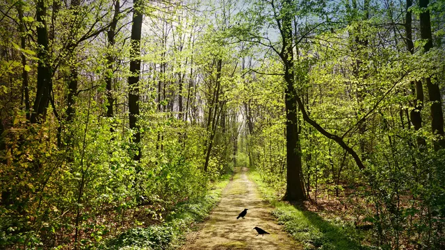 Времето утре: слънчево с мъгли и валежи на места