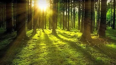 Прогноза за времето в България – четвъртък, 16 април