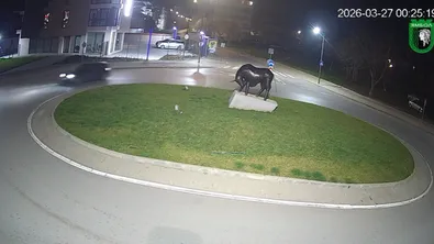 Среднощен дрифт в Ямбол: мъж без книжка взел колата на приятел (ВИДЕО)