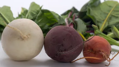 Ряпата - мощен природен щит срещу инфекции, настинки и алергии