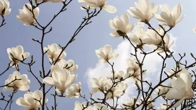 Прогноза за времето в България – събота, 18 април