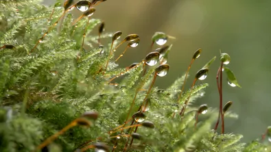 Пролетно време с обрати: слънце, дъжд и гръмотевици утре