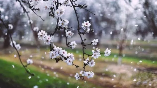Прогноза за времето в България – понеделник, 20 април