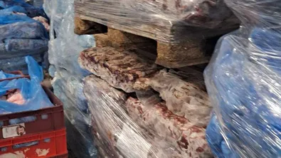 БАБХ иззе 1,5 тона пилешко без документи на „Капитан Андреево“