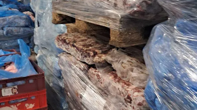 БАБХ иззе 1,5 тона пилешко без документи на „Капитан Андреево“