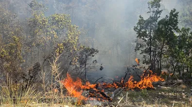 Пожарен уикенд в Гърция: 52 огнища само за два дни