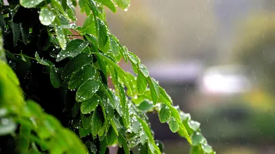 Времето утре: дъждът продължава, гръмотевици на места