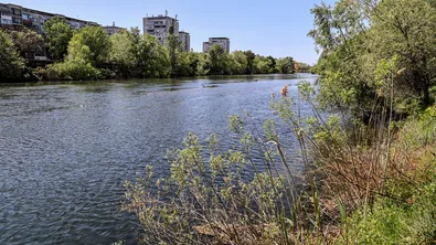 В Пловдив на протест заради строителството на сграда на брега на р. Марица