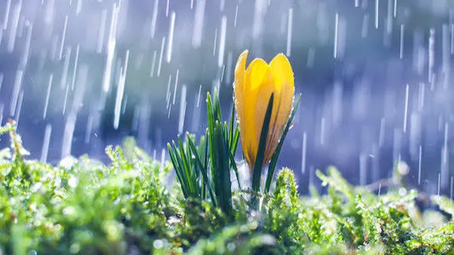 Прогноза за времето в България – сряда, 22 април