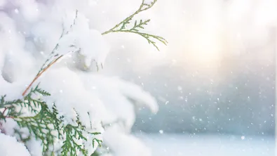 Неочакван сняг през април в Смолянско