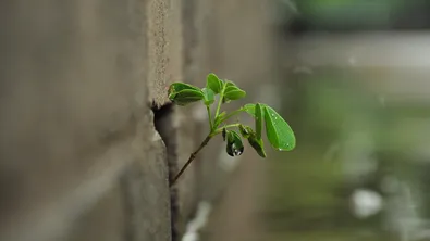 Времето утре: дъжд, слани и вятър с временни силни пориви