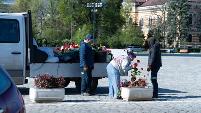 Общината подновява цветята в центъра на София