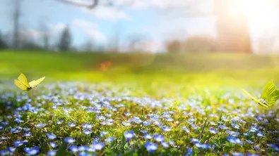 Прогноза за времето в България – петък, 24 април