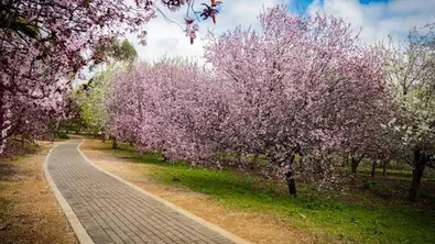 Прогноза за времето в България – събота, 25 април