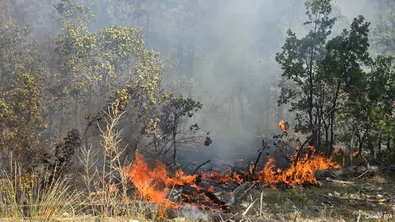 Внимание, пожари: Започва пожароопасният сезон у нас