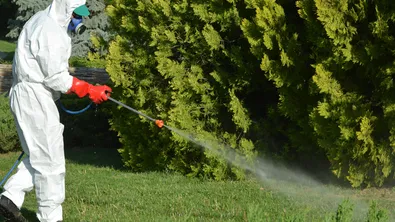 Сезонът на кърлежите: По-дълъг и по-рисков, предупреждават специалисти