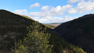 Откриха жената, изчезнала от дома за възрастни в Пловдив