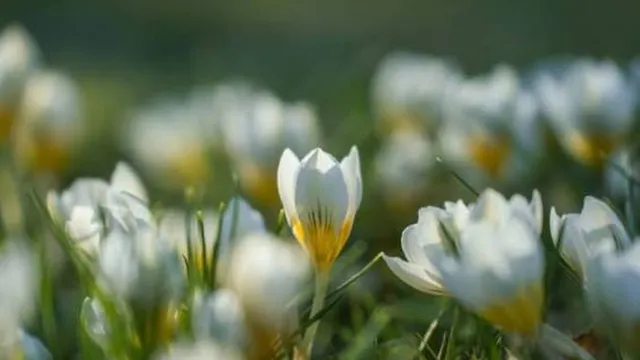 Прогноза за времето в България – понеделник, 27 април