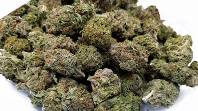 22 монаси задържани със 110 кг канабис на летище в Шри Ланка