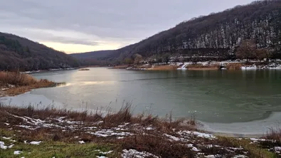 Спешни проверки на язовир "Пчелина" заради мъртва риба