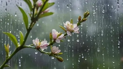 Прогноза за времето в България – четвъртък, 30 април