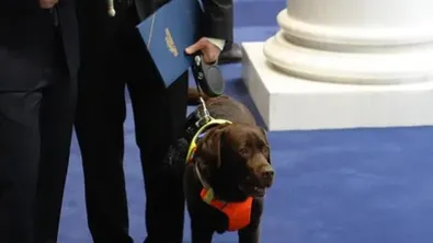 241-ят депутат в новия парламент е куче-водач