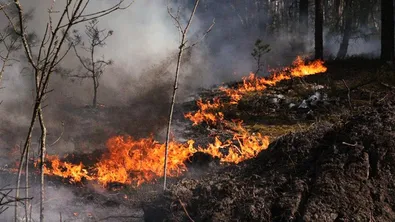 Голям пожар избухна в радиоактивната зона на Чернобил