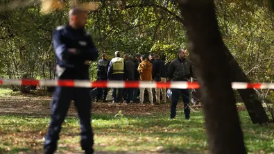 Експертиза: Две мечки са убили мъжа, открит мъртъв на Витоша