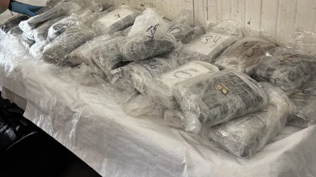 Близо 48 кг кокаин за над 4,4 млн. евро задържаха на „Капитан Андреево“