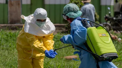 Над 200 жертви на ебола: СЗО алармира за международна извънредна ситуация