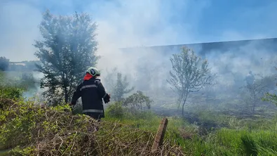 Български учени създадоха AI, който прогнозира горски пожари