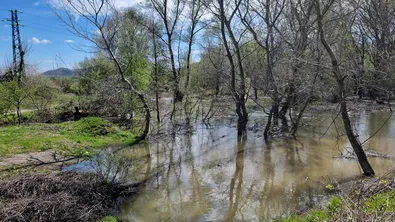 Залят е моста в с. Медовец, няма бедстващи хора