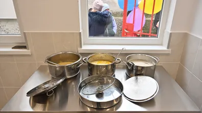 БАБХ спря дейността на нерегистрирана детска млечна кухня в Смолян