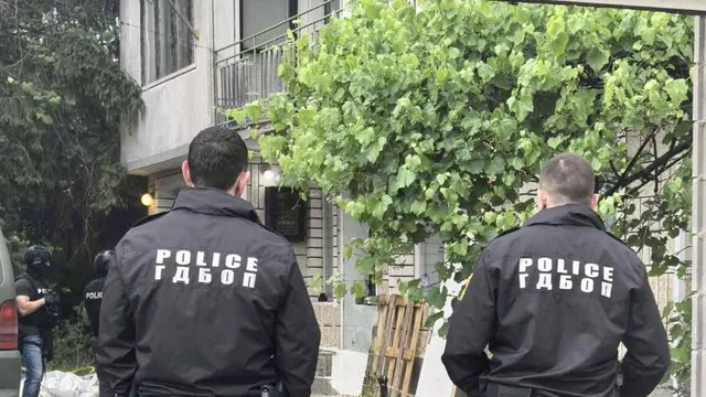 119 растения и десетки лампи: ГДБОП разби наркооранжерия във Варненско