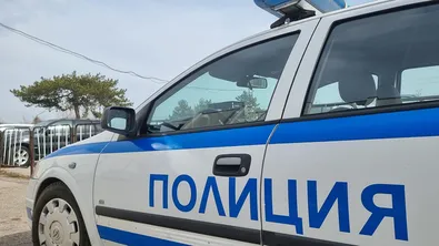 Заловиха четирима непълнолетни с наркотици в Монтана
