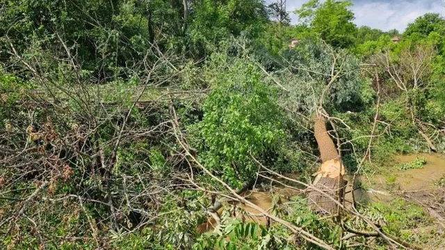 Опасност от наводнение след изрязване на дървета край река в ловешко село