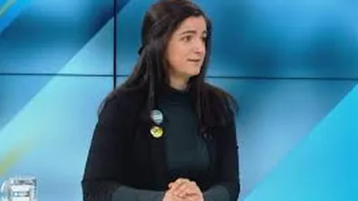 Екологът Микова: Не всяко място е подходящо за соларни панели