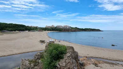 Прокуратурата започва проверки за гора край Синеморец, предоставена за къмпинг на занижена цена