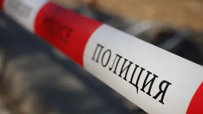 Огромно дърво се стовари върху автомобили пред ресторант до Пловдив