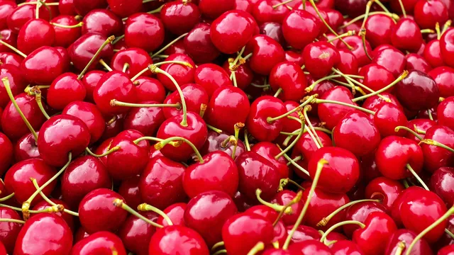Ниските изкупни цени на черешите поставят в риск бранша