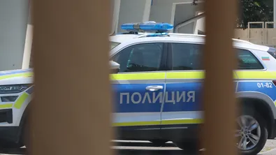 196 души са загинали, а 3364 са ранени при катастрофи в страната от началото на годината